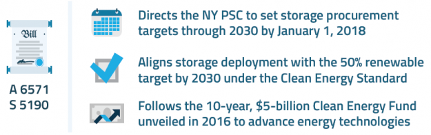 New York Storage Bill