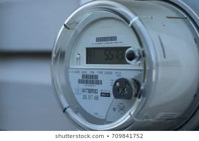 Florida Regulator Approves Smart Meter Opt-Out Provision for Tampa Electric Customers