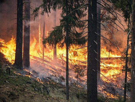 PG&E Seeks $1.2 Billion Revenue Hike to Support Wildfire Safety Enhancements