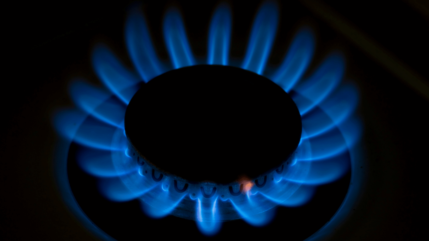 411115200 862805735848094 5255688798194418776 n