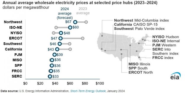 wholesale electricity pulse
