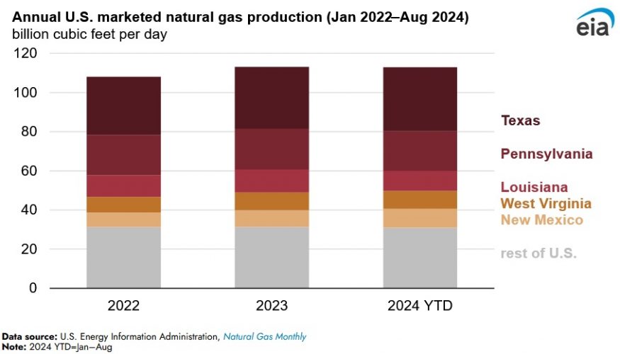 U.S. Natural Gas Production Hit Record High in 2023: EIA