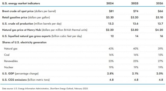EIA Raises 2025 Henry Hub Gas Price Forecast After January Cold Snap