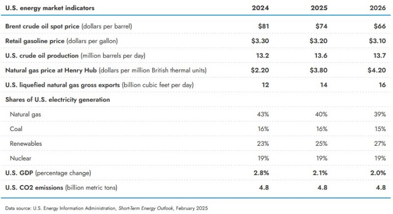 EIA Raises 2025 Henry Hub Gas Price Forecast After January Cold Snap