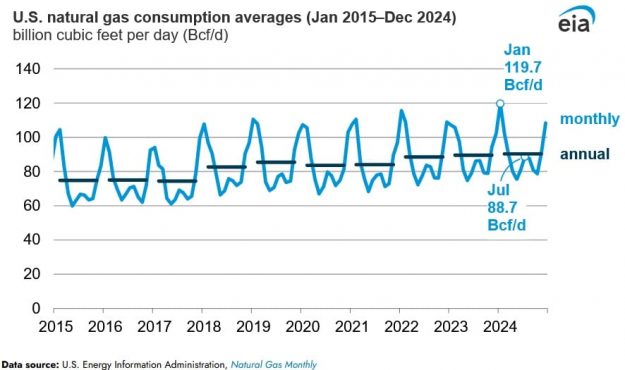 natural gas consumption averages