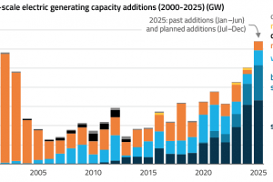 EnerKnol Research PU Visual Primer Energy Storage in IRPs 2025 11 11 Blog preview